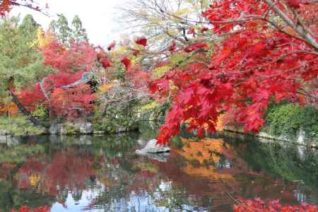 紅葉の永観堂　⑬