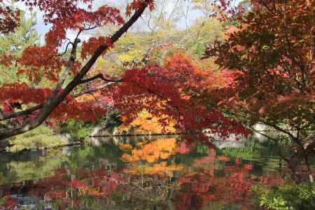 紅葉の永観堂　⑭