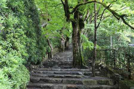 秋の寂光院参道