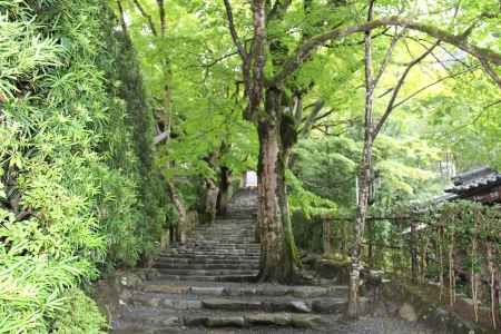 秋の　寂光院