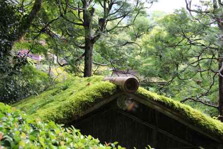 寂光院 苔むした屋根