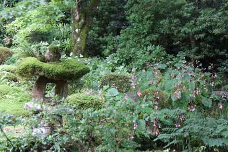 秋の大原　三千院④