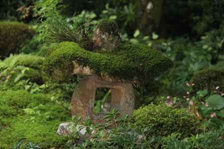 秋の大原　三千院⑤