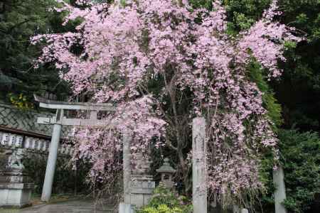 八神社　②