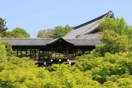 新緑の東福寺　③