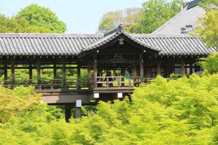 新緑の東福寺　⑤