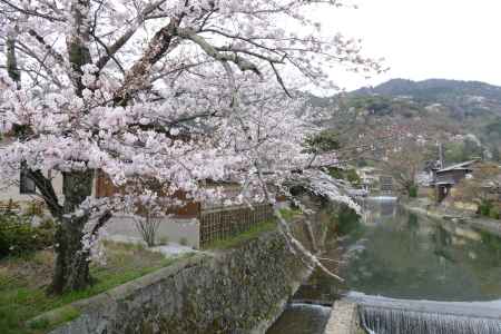 嵐山・嵯峨野