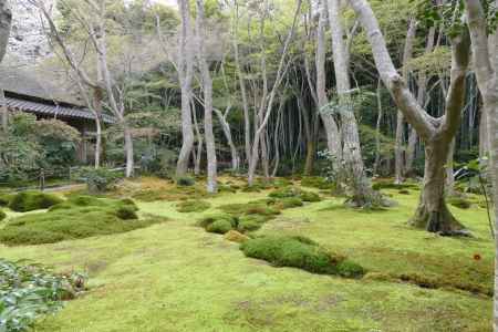 嵯峨野・祇王寺2