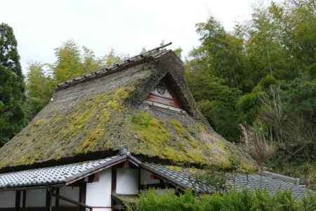 嵯峨鳥居本3