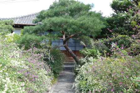 出町柳・常林寺