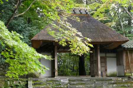 もみじ越しの山門