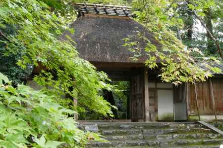 法然院山門と紅葉