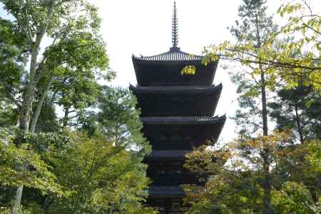 御室八十八ｹ寺 参拝7