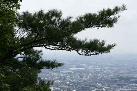 御室八十八ｹ寺　参拝15