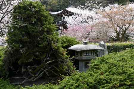 山科　勧修寺15