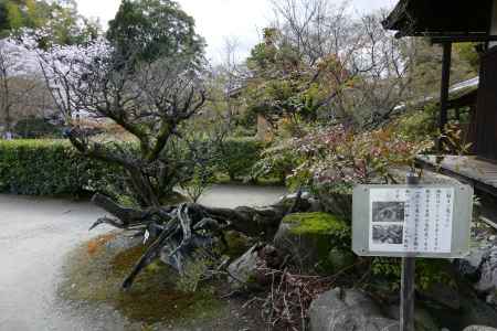 山科　勧修寺16