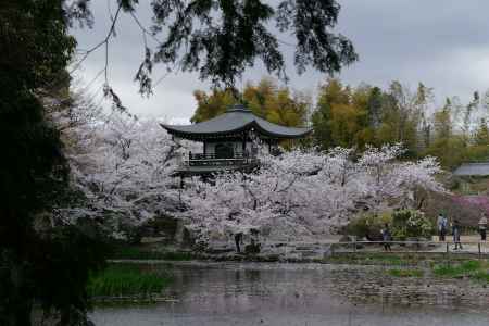 山科　勧修寺12