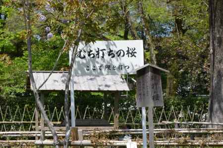 上賀茂神社3