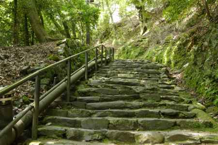 高雄山　神護寺