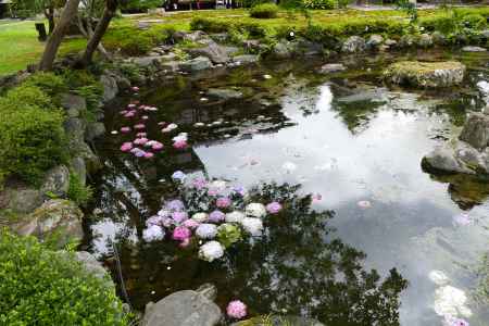 旧三井家下鴨別邸　ひょうたん型の池