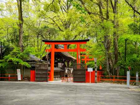 賀茂御祖神社　河合社