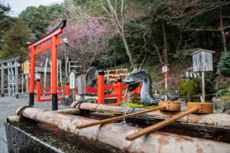 出雲大神宮 其の3