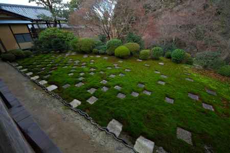 東福寺本坊庭園北庭10