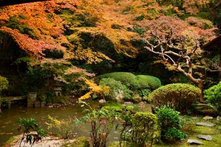 長楽寺庭園の紅葉4