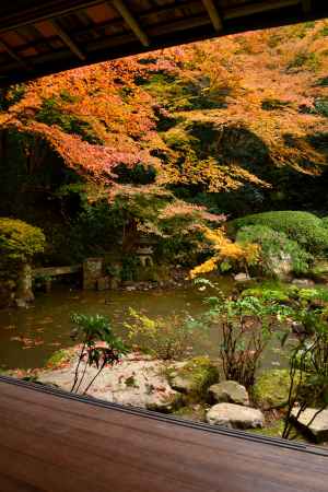 長楽寺庭園の紅葉5