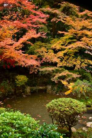 長楽寺庭園の紅葉7