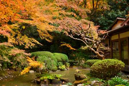 長楽寺庭園の紅葉