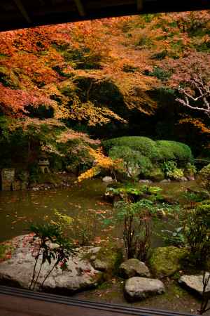 長楽寺庭園の紅葉3