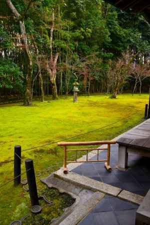 冬の高桐院庭園3