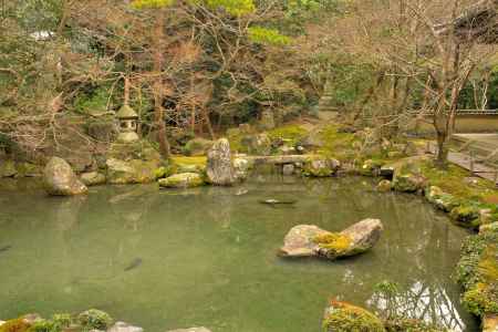 冬の蓮華寺庭園