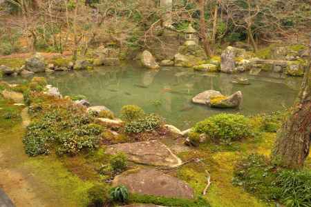 冬の蓮華寺庭園5