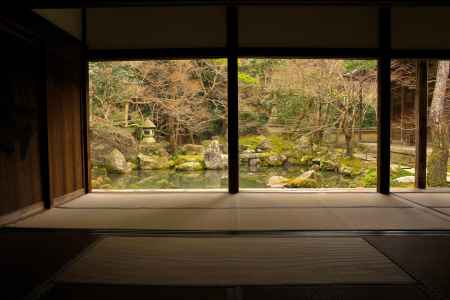 冬の蓮華寺庭園9