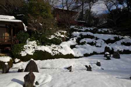 冬の光明院庭園