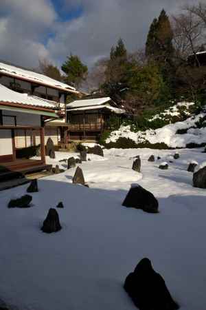 冬の光明院庭園