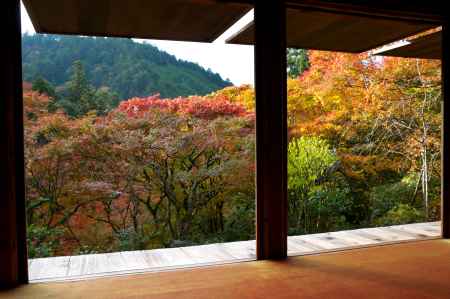 高山寺の紅葉