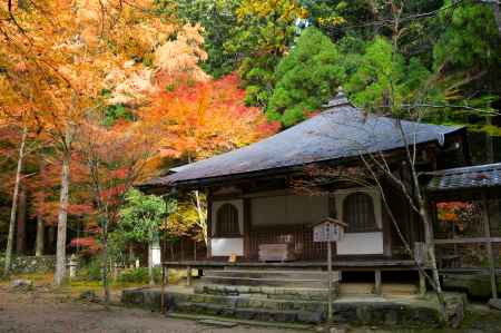 高山寺の紅葉2