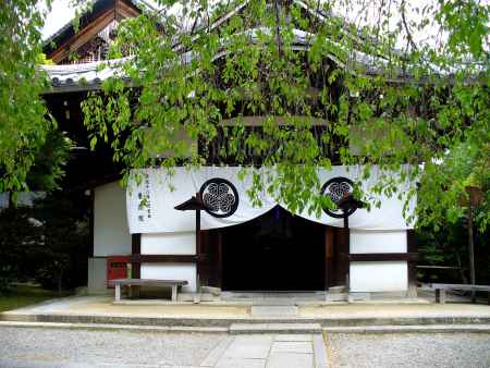 新緑の養源院3