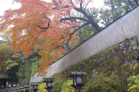 京都市の紅葉（長楽寺）