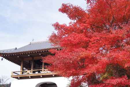 京都市の紅葉（転法輪寺）