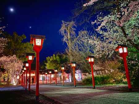 2020 平野神社