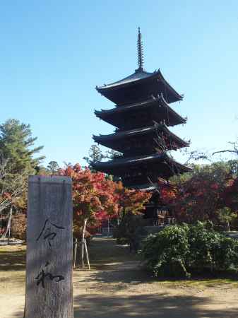 2019　盛秋　仁和寺　1