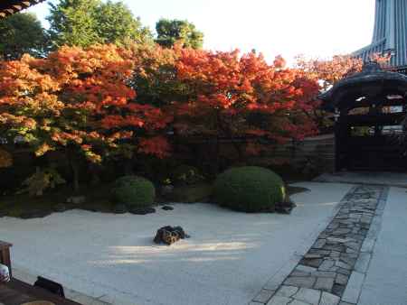 2019　盛秋　妙顕寺　5