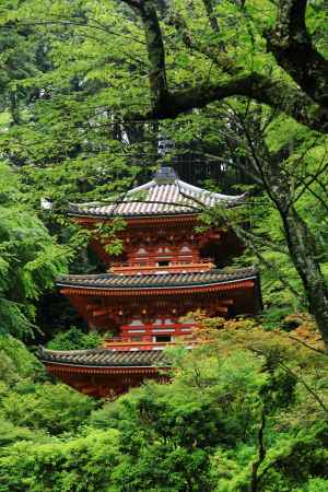 初夏　岩船寺