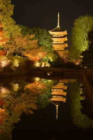 定番？_東寺・夜間拝観