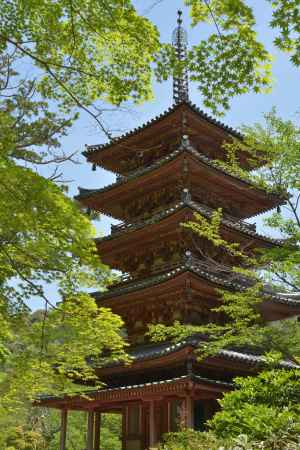 お茶の京都の五重塔