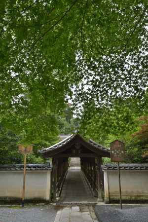 東福寺_龍吟庵　